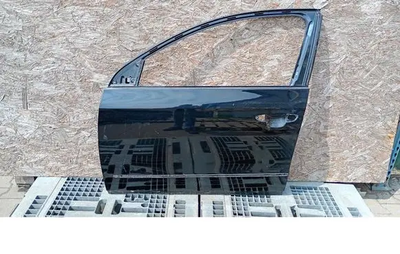 Volkswagen PASSAT B6 Front door 
