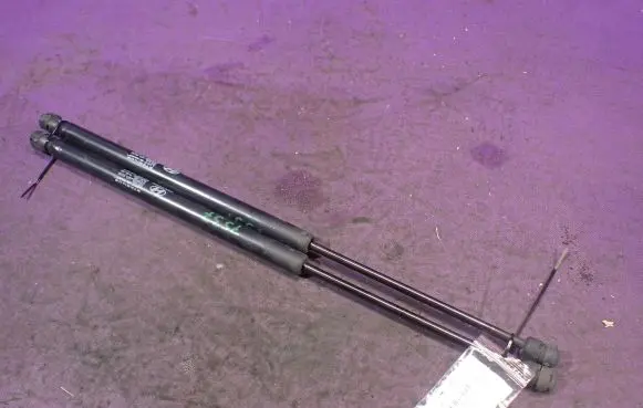 Tailgate strut
