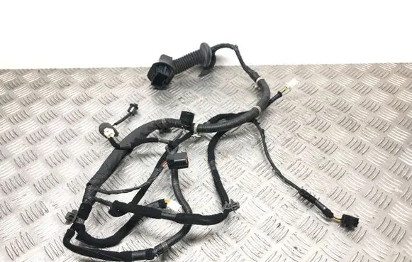Hyundai Santa Fe Front door wiring loom 9197126000