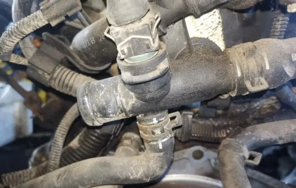 Audi A3 S3 8L Engine coolant pipe/hose 06a121133c