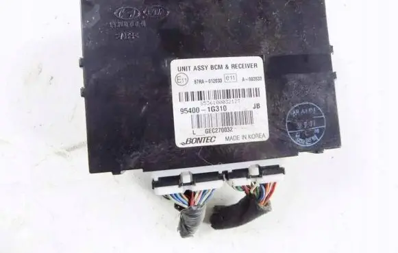 KIA Rio Other control units/modules 954001G310