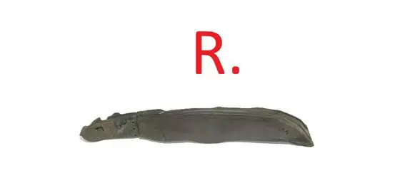 Audi Q2 - Fender foam support/seal 81A864236 37783