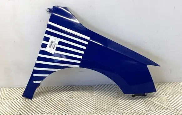 Skoda Fabia Mk3 (NJ) Fender 