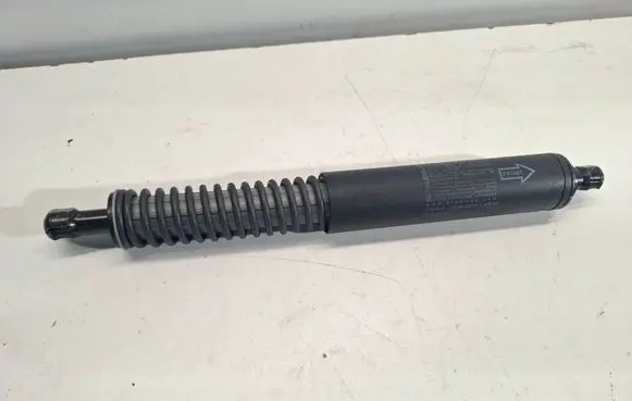 Tailgate/trunk strut/damper