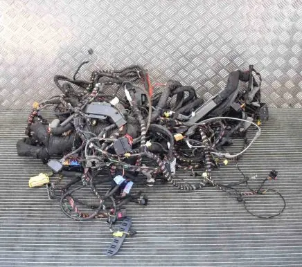 Audi Q3 8U Other wiring loom 8U0955953
