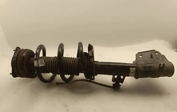 Chrysler Pacifica Front shock absorber with coil spring P68231728AA
