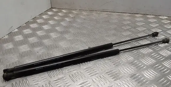 Renault Espace - Grand espace IV Rear window strut damper 8200025105