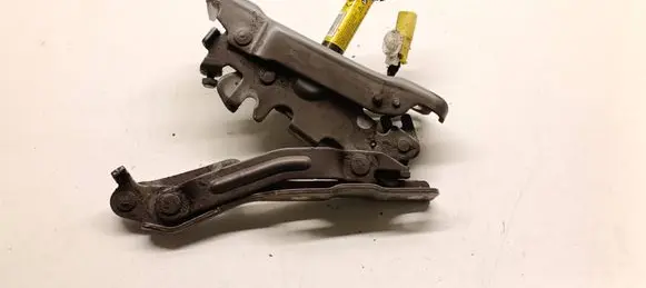 Hyundai Tucson TL Engine bonnet/hood hinges 