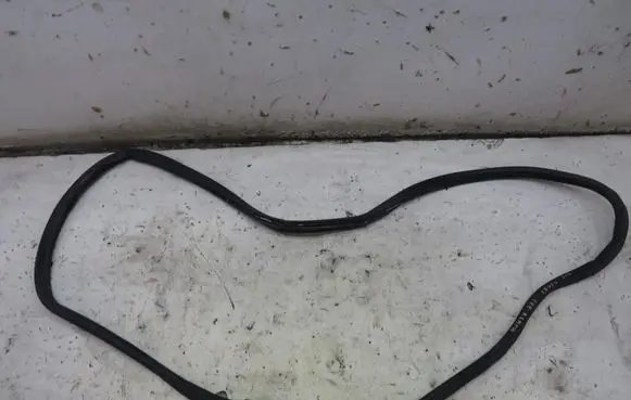 Ford Ecosport Front door rubber seal GMAUTO4574097
