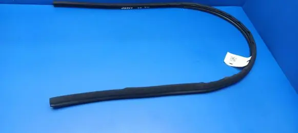 Mercedes-Benz CLK A209 C209 Front door rubber seal A2036971151