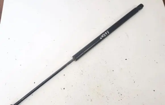 Tailgate/trunk strut/damper