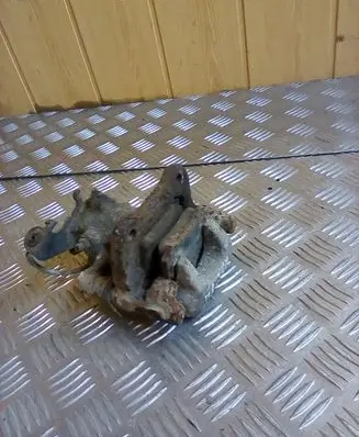 Renault Scenic I Rear brake caliper