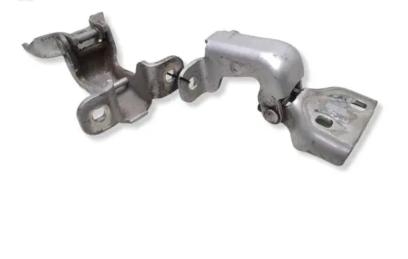 Renault Trafic II (X83) Front door hinges set 311772M GM66380