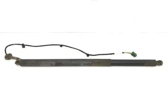 Tailgate strut