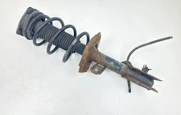 Nissan Qashqai Front shock absorber with coil spring 54302JD01A 24903002933