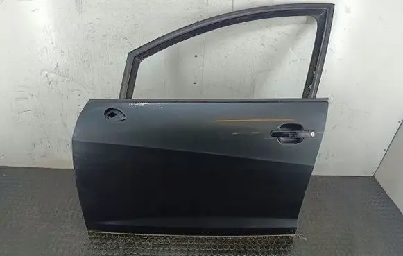 Seat Ibiza IV (6J,6P) Front door LW7Z