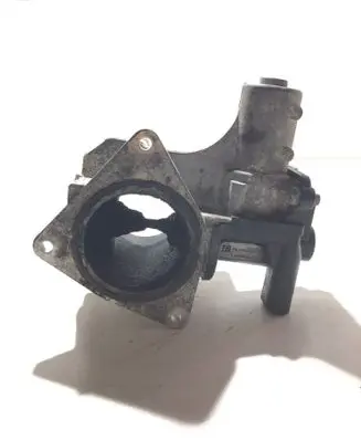 Volkswagen Transporter - Caravelle T5 EGR valve 076131501B 700823040