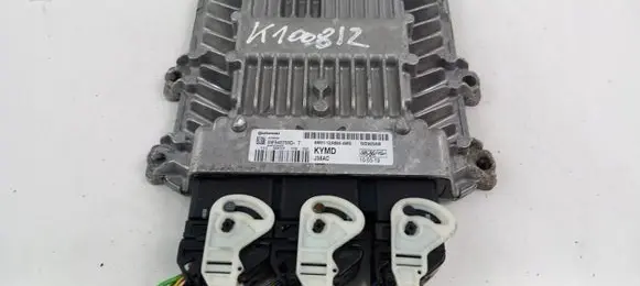 Ford Focus Engine control unit/module ECU
