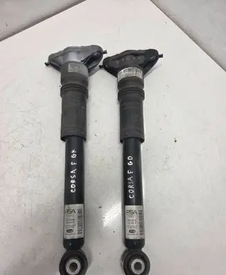 Opel Corsa F Rear shock absorber/damper 9837466880 SA2700016