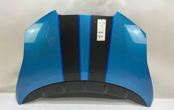 Nissan Leaf I (ZE0) Engine bonnet/hood