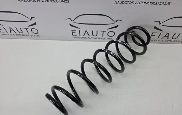 Rear coil spring