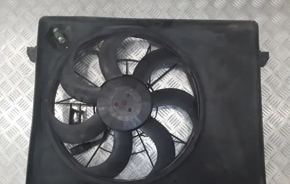 KIA Carens II Electric radiator cooling fan 253801DXXX F00S3A2392