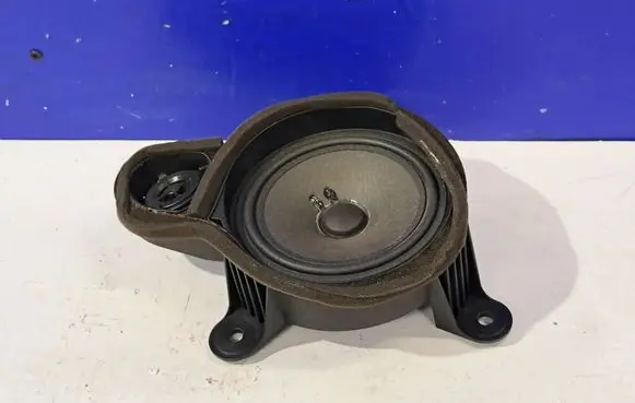 Mercedes-Benz CL C216 Front door speaker A2168200702