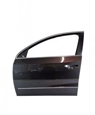 Volkswagen PASSAT B6 Front door