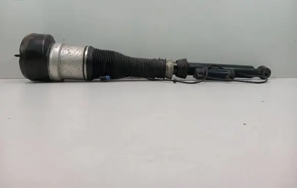 Mercedes-Benz S W221 Rear shock absorber/damper 2213202113