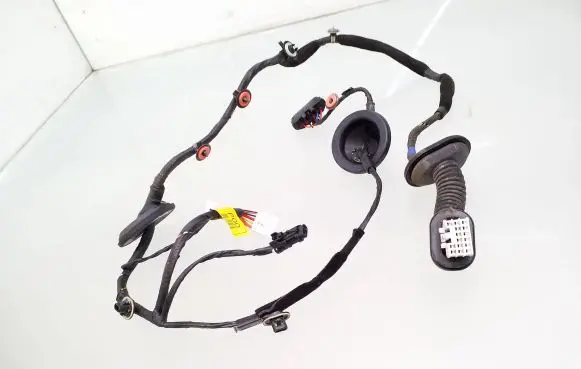 KIA Carens II Rear door wiring loom 916601D000