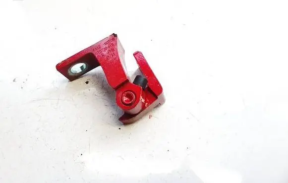 MG HS Rear door lower hinge 10735418