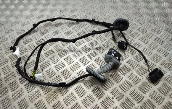 Ford Ecosport Rear door wiring loom CN1514633