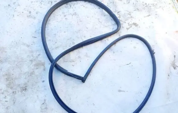 Toyota RAV 4 (XA30) Rubber seal front coupe door 