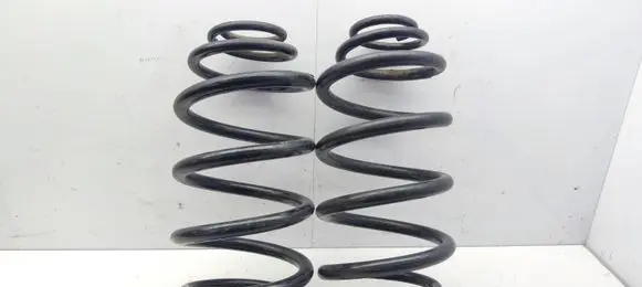 Rear coil spring
