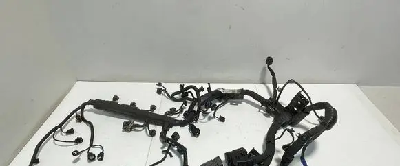 Engine installation wiring loom