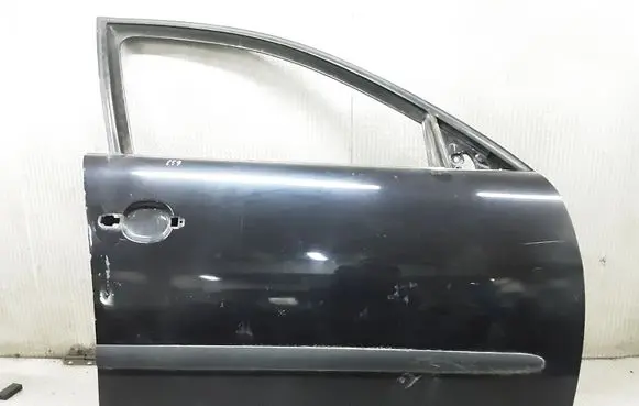 Seat Ibiza III (6L) Front door
