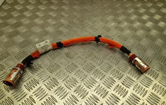 Mercedes-Benz EQE v295 Other wiring loom A2975403802