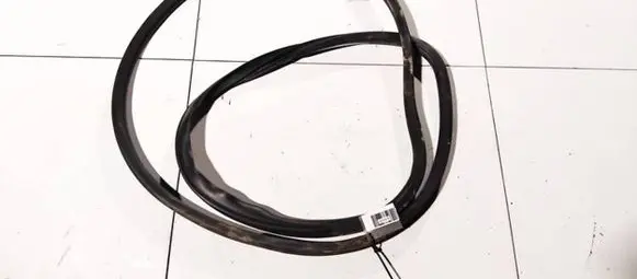 Mitsubishi Lancer X Rubber seal front coupe door 