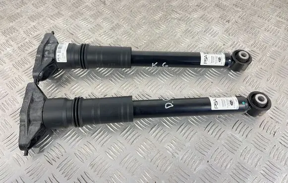 Peugeot 2008 II Rear shock absorber/damper 9836658080