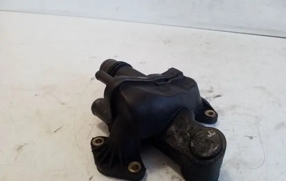 Thermostat/thermostat housing