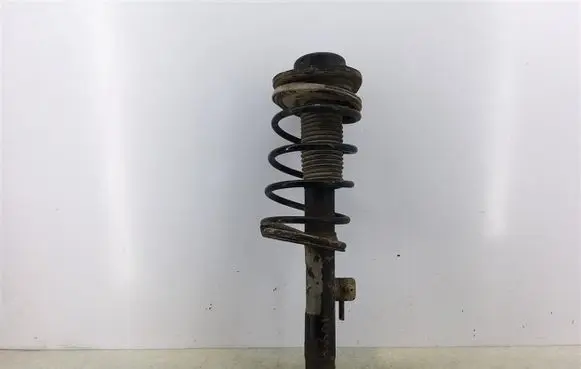 Peugeot 206 Front shock absorber with coil spring