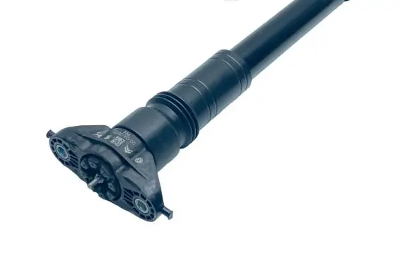 Citroen C4 III e-C4 Rear shock absorber/damper 9841379480 9831620380 9824499480