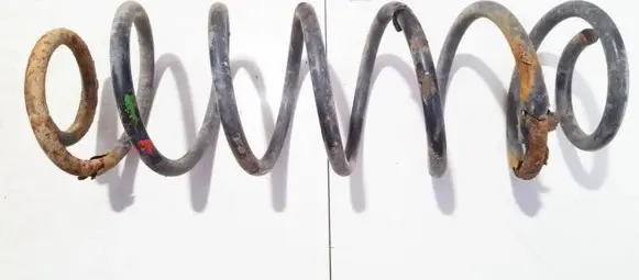 Rear coil spring
