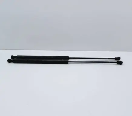 Tailgate/trunk strut/damper