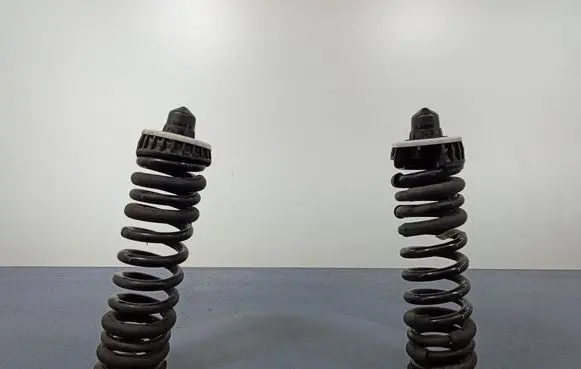 BMW M3 Rear coil spring