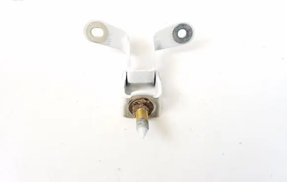 Tailgate/trunk/boot hinge