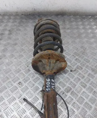 KIA Carnival Front shock absorber/damper NRAKODO