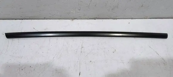 Tesla Model Y Rear door trim (molding) 1495722-00-C