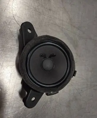 Front door speaker