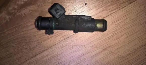 Peugeot 406 Fuel injector 01f005a 09311